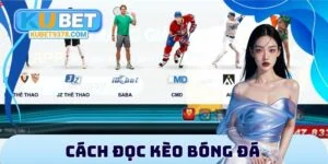 Cách đọc kèo bóng đá
